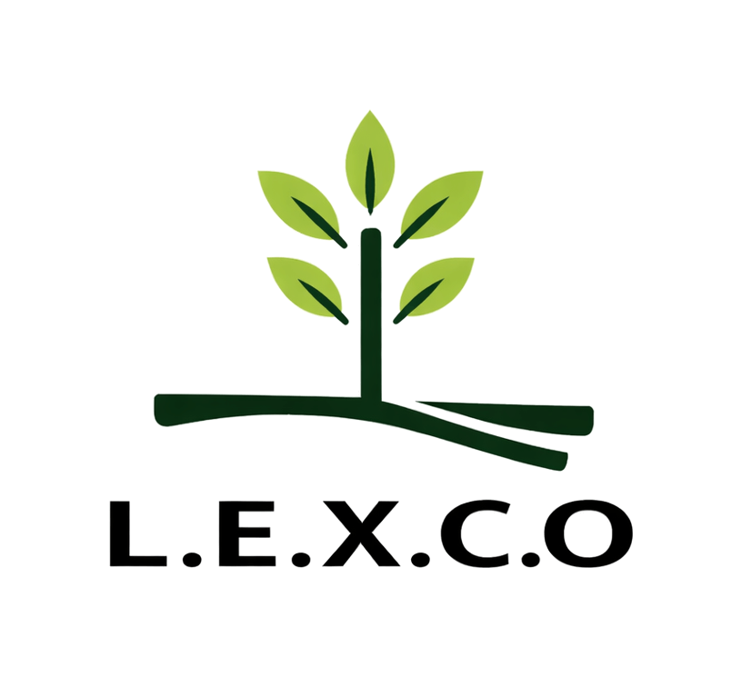 Largo Expertises & Conseils